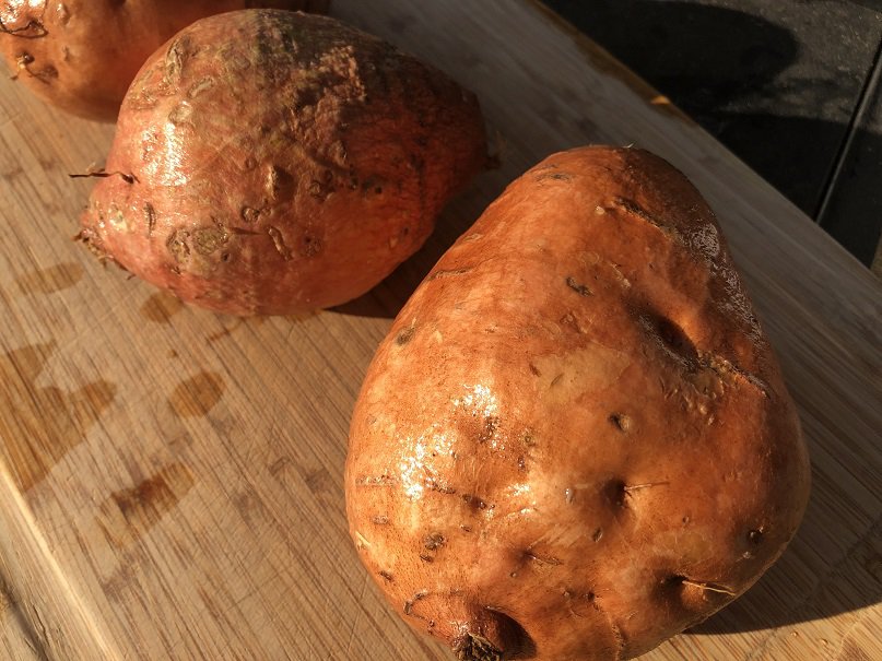 Large Sweet Potato